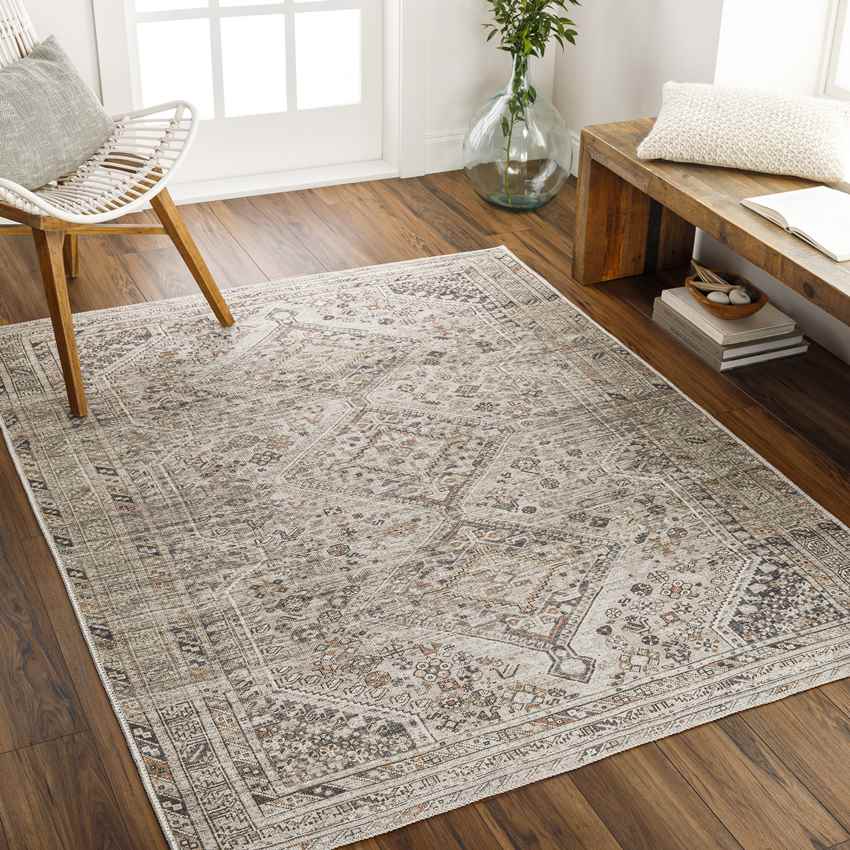 Tonganoxie Traditional Light Beige Washable Area Rug