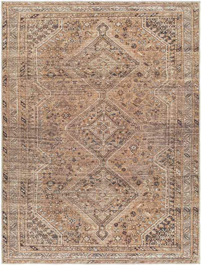 Tonganoxie Traditional Cider Washable Area Rug