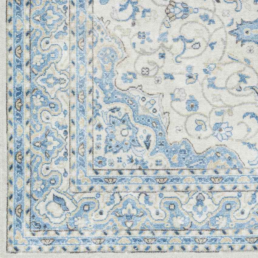 Tomara Traditional Ice Blue Washable Area Rug