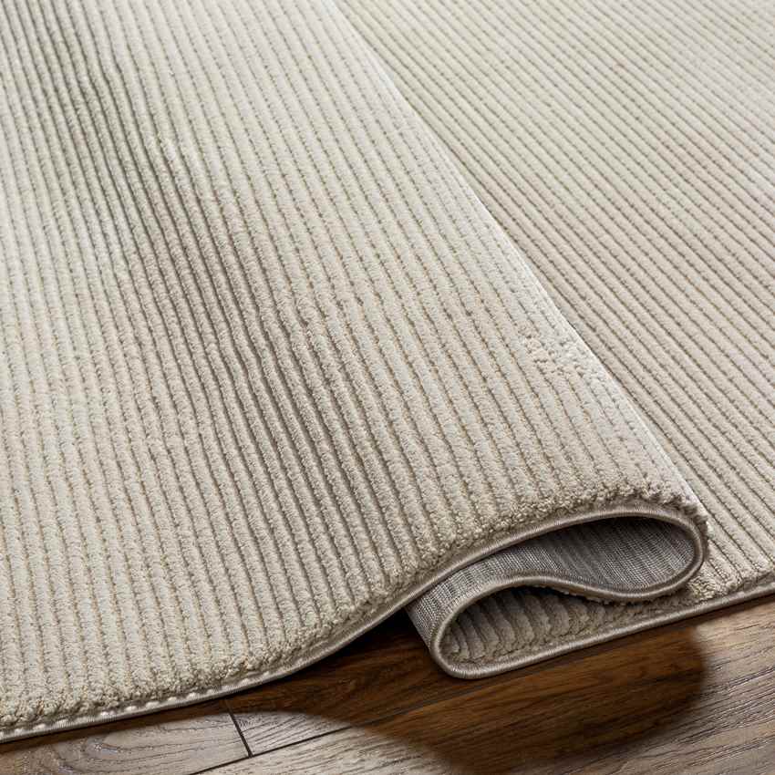 Lynnette Modern Mocha Washable Area Rug