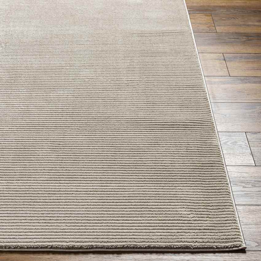 Lynnette Modern Mocha Washable Area Rug