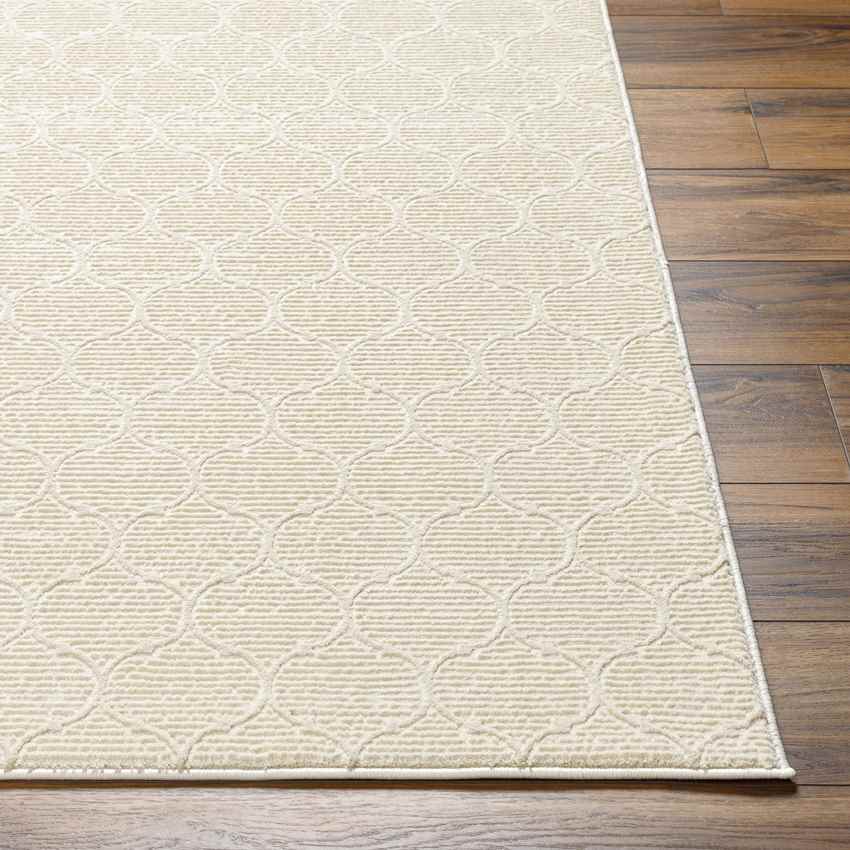 Kwasi Cottage Beige Washable Area Rug