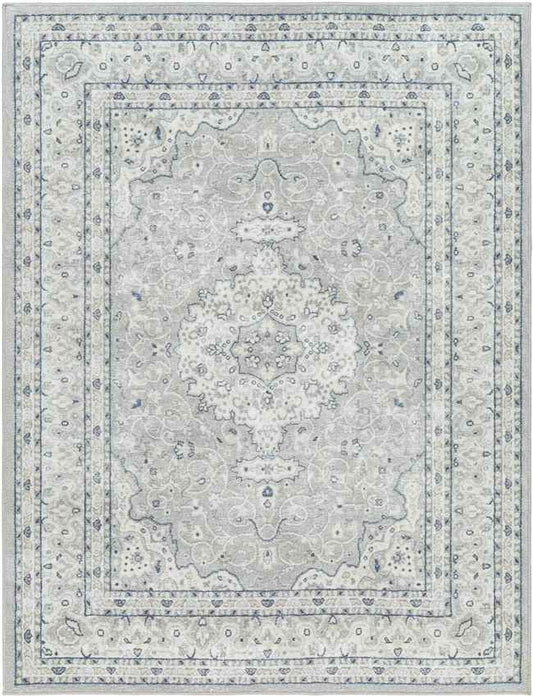 Tomara Traditional Light Gray Washable Area Rug