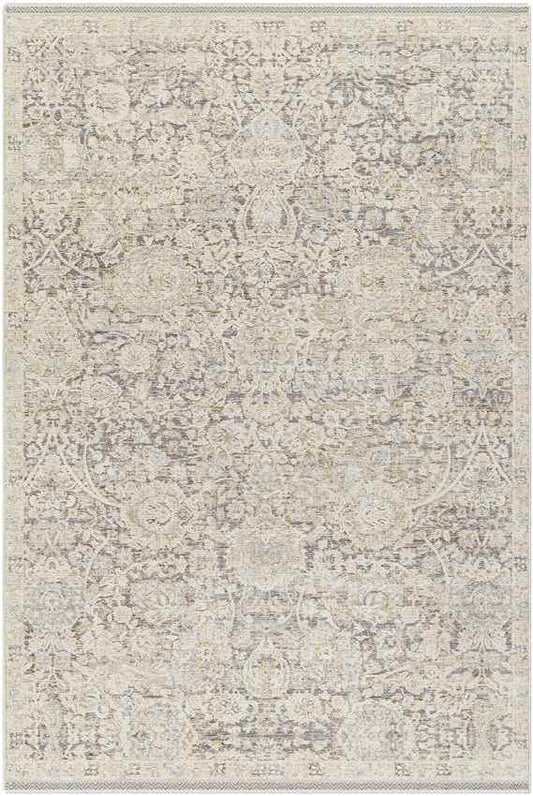 Miquel Traditional Medium Gray/Beige Area Rug