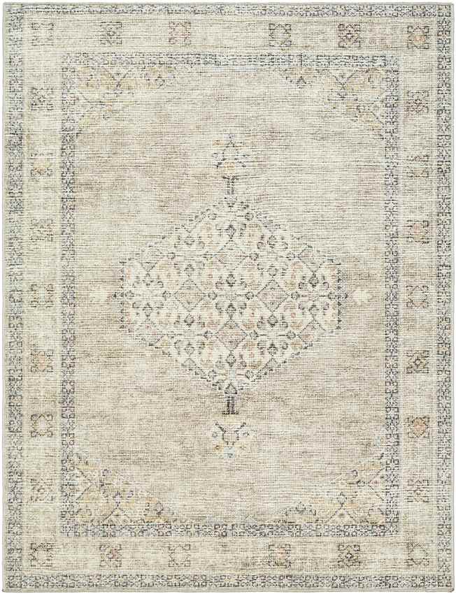 Jamesa Traditional Light Brown/Cream Area Rug