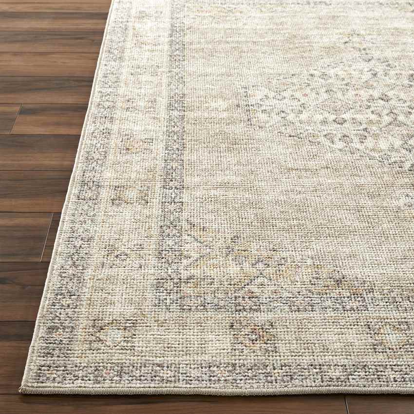 Jamesa Traditional Light Brown/Cream Area Rug