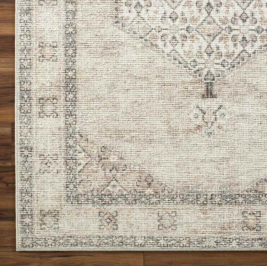 Jamesa Traditional Blush/Beige Area Rug