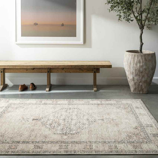 Jamesa Traditional Blush/Beige Area Rug