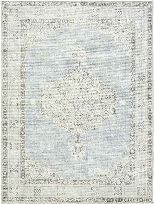 Jamesa Traditional Denim/Ivory Area Rug