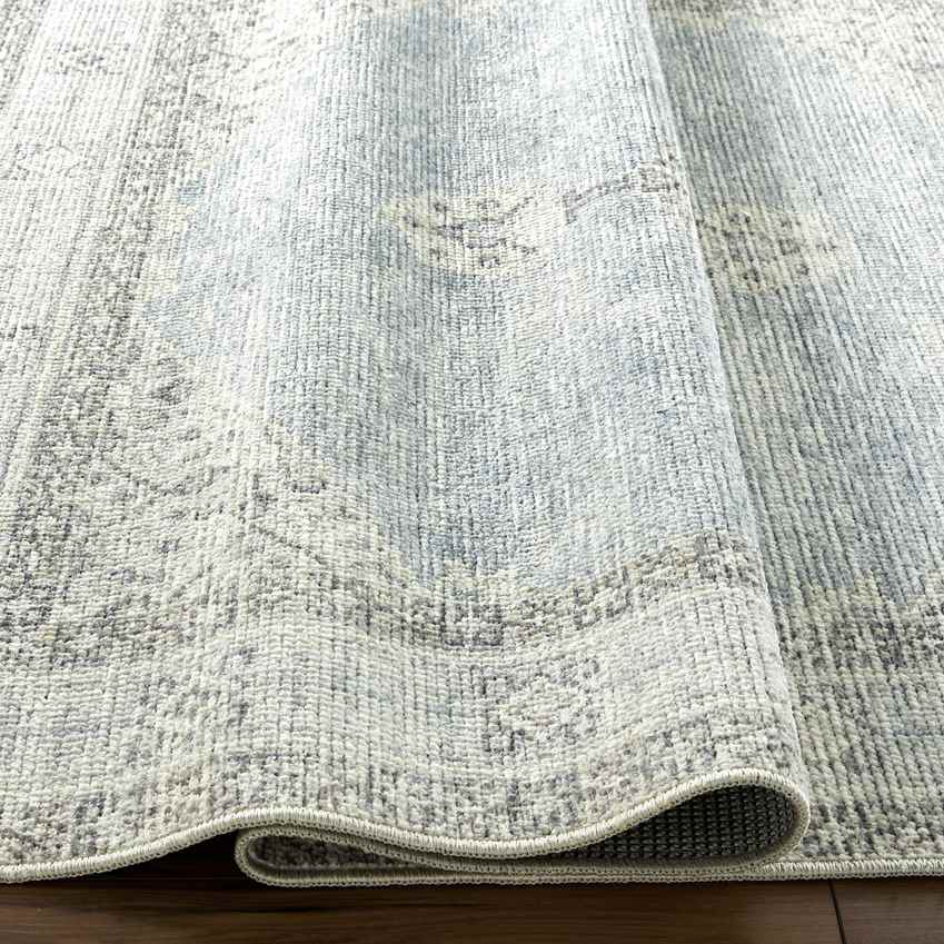 Jamesa Traditional Denim/Ivory Area Rug