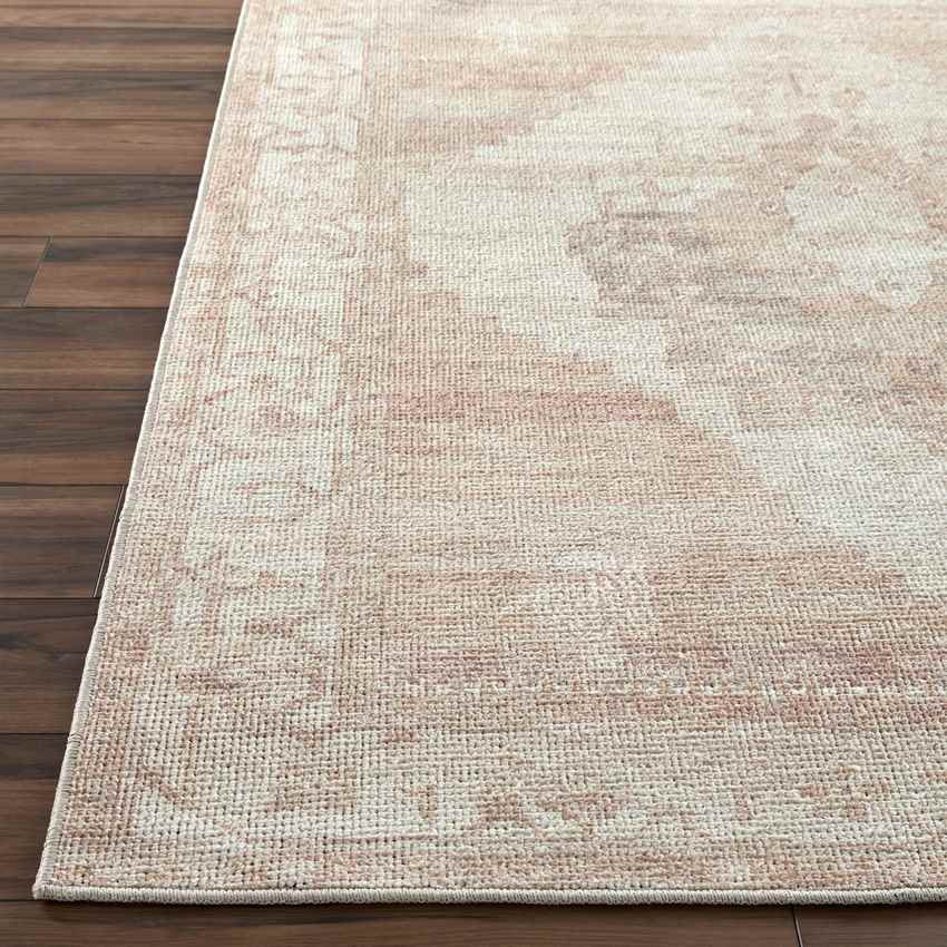 Chong Traditional Blush/Cream Area Rug