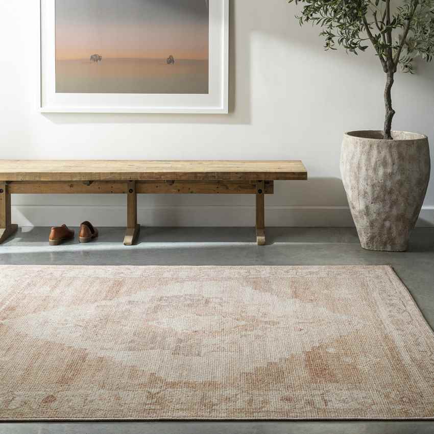 Chong Traditional Blush/Cream Area Rug