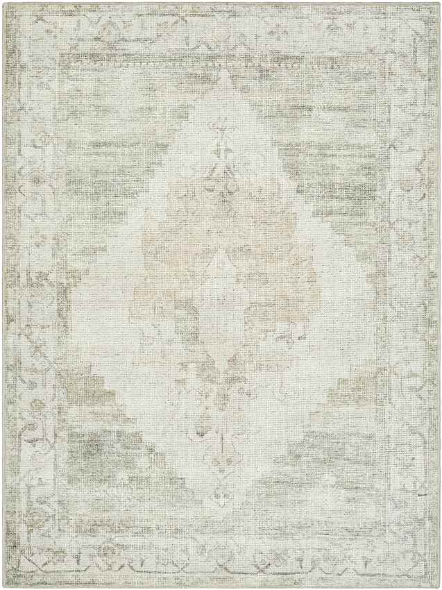 Chong Traditional Sage/Cream Area Rug