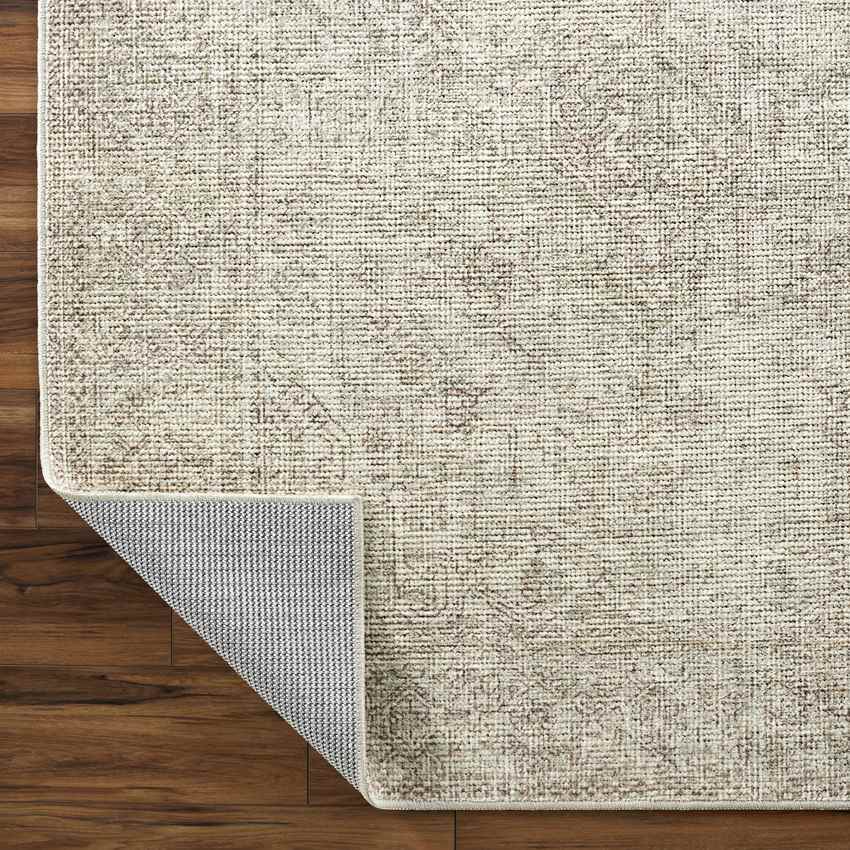 Kole Traditional Sage/Cream Area Rug