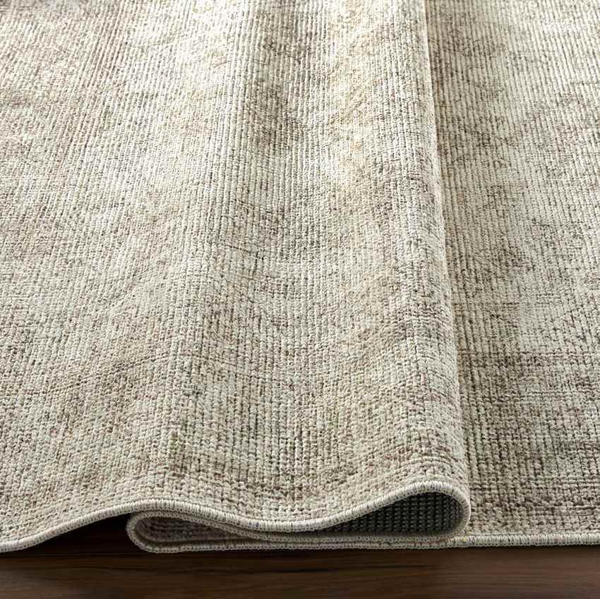 Kole Traditional Sage/Cream Area Rug