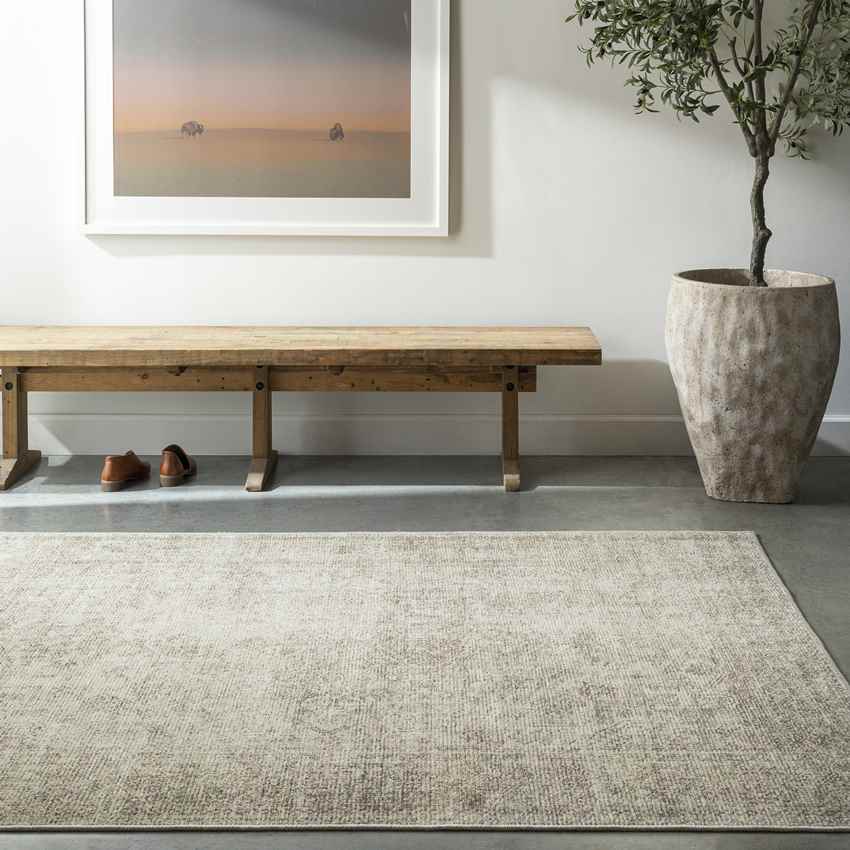 Kole Traditional Sage/Cream Area Rug