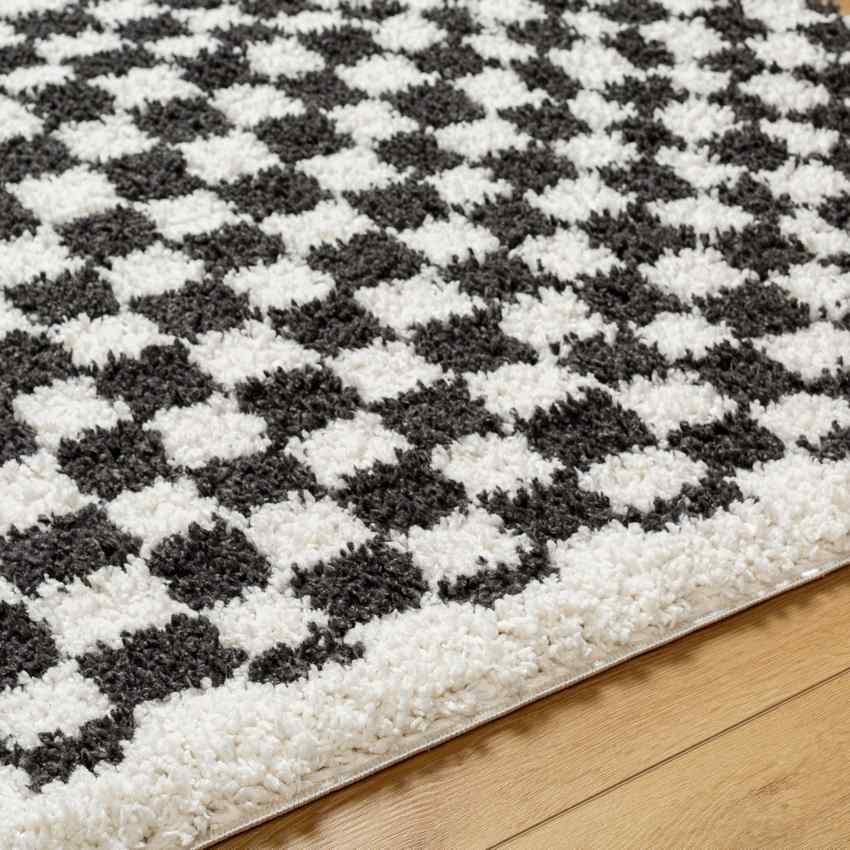 Emmitt Modern Dark Gray Area Rug