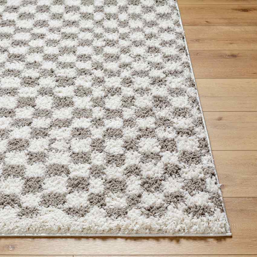 Emmitt Modern Light Gray Area Rug