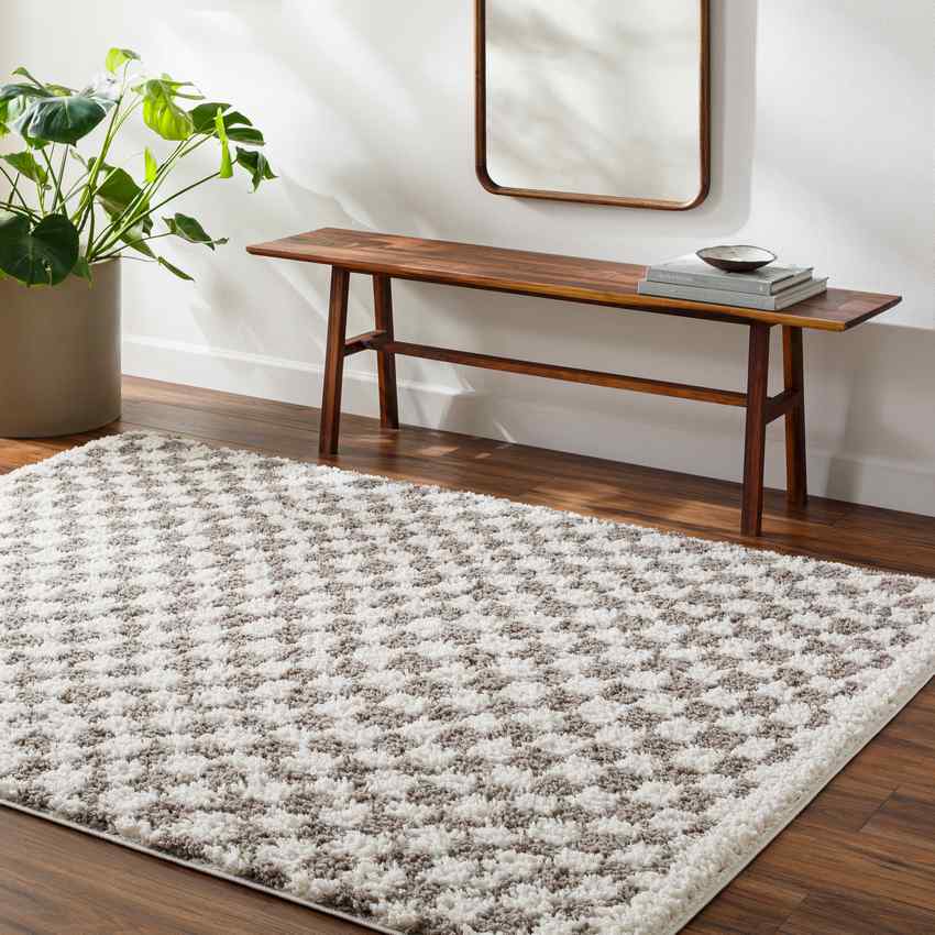 Emmitt Modern Light Gray Area Rug