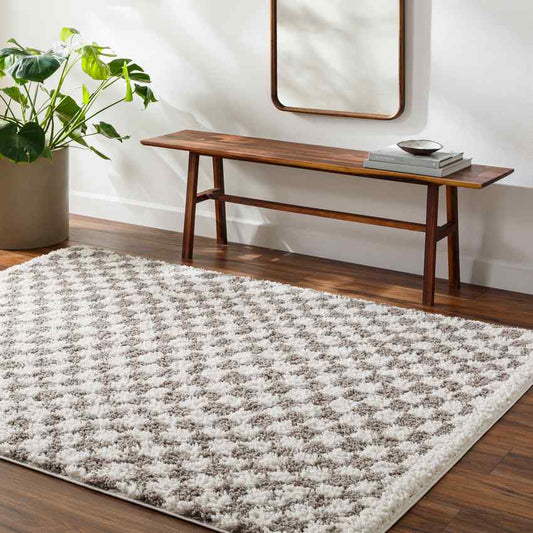 Emmitt Modern Light Gray Area Rug