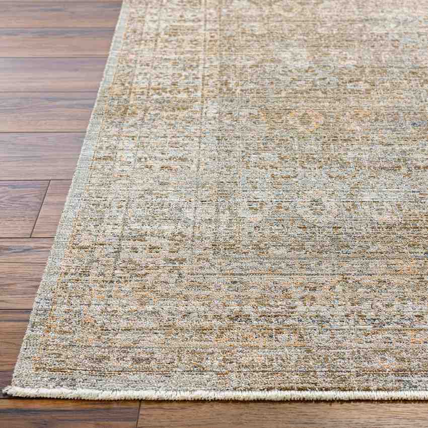 Moshe Traditional Brown/Ivory Washable Area Rug