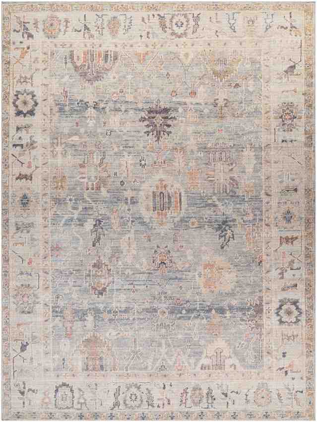 Erasmo Traditional Medium Gray/Pale Blue Area Rug