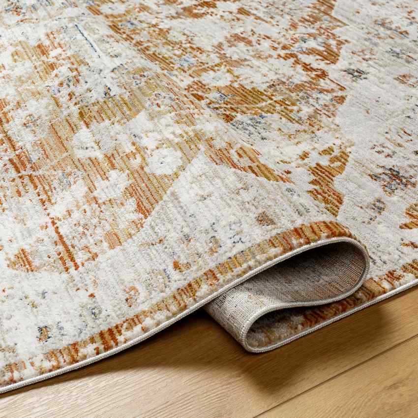 Arek Traditional Saffron/Rust Area Rug