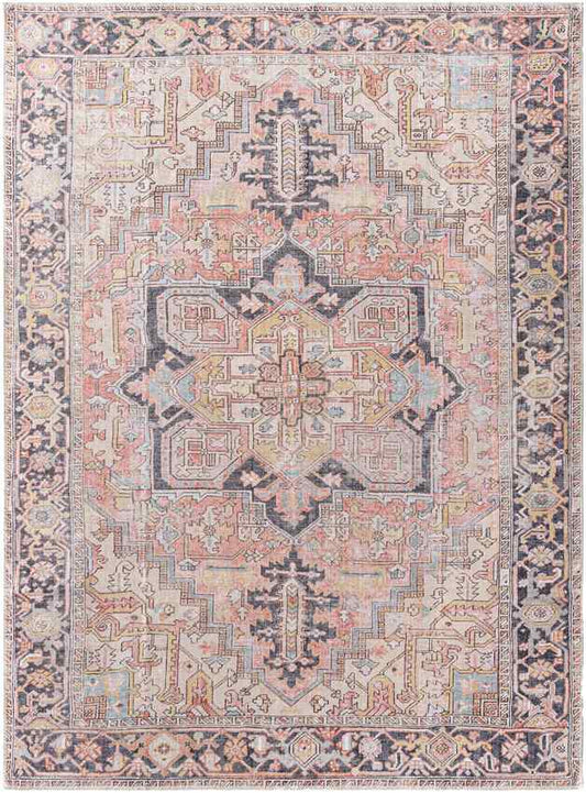 Tamea Traditional Rust/Pale Pink Area Rug