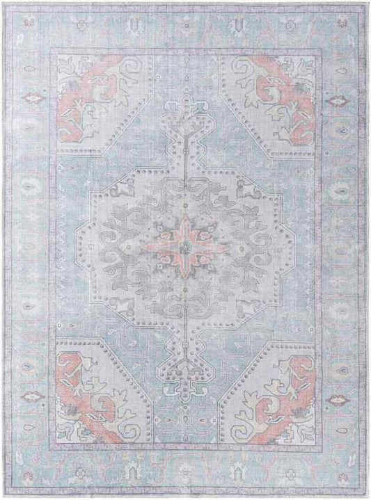 Luisanna Traditional Light Blue Area Rug