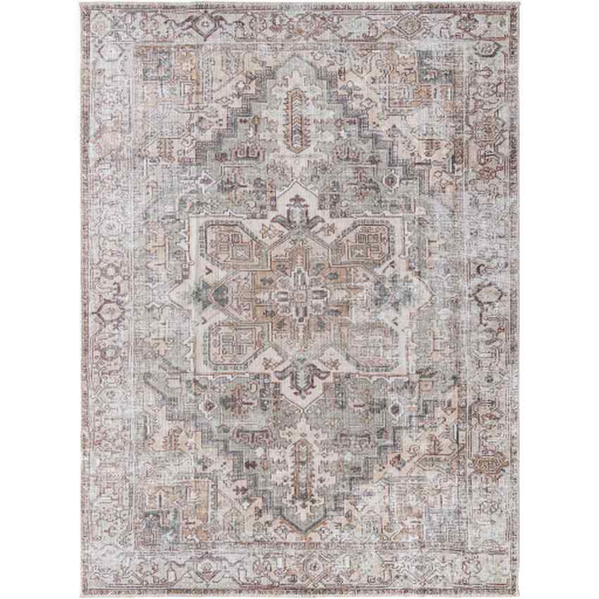 Tamea Traditional Medium Brown/Moss Area Rug