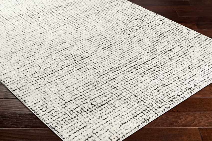 Lajoy Modern Ivory/Black Area Rug