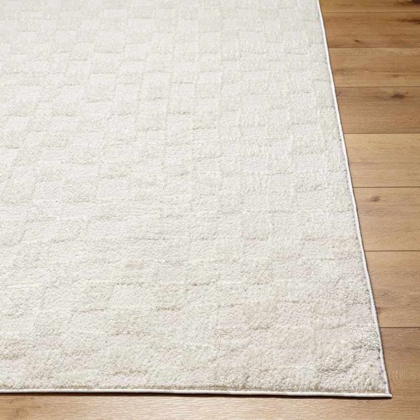 Isis Modern Off-White/Ivory Area Rug