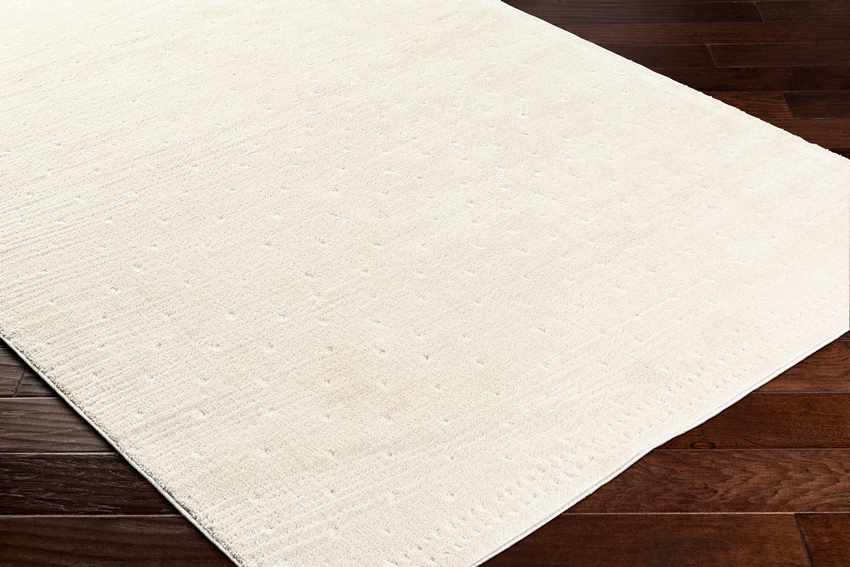 Monisha Modern Ivory/Off-White Area Rug