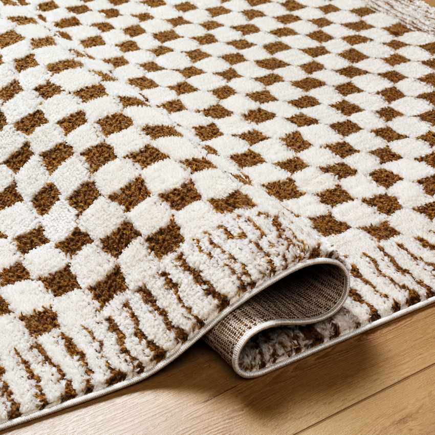 Zechariah Modern Ivory/Brown Area Rug