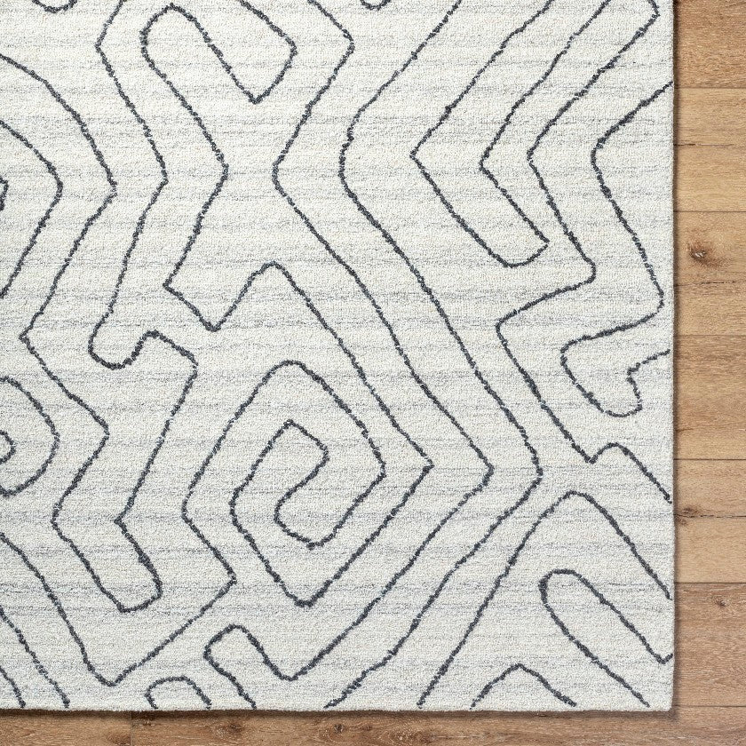 Tim Modern Ivory/Charcoal Area Rug