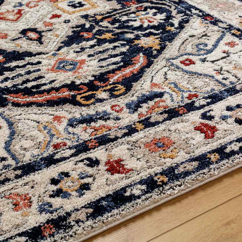 Shemica Traditional Cobalt Area Rug