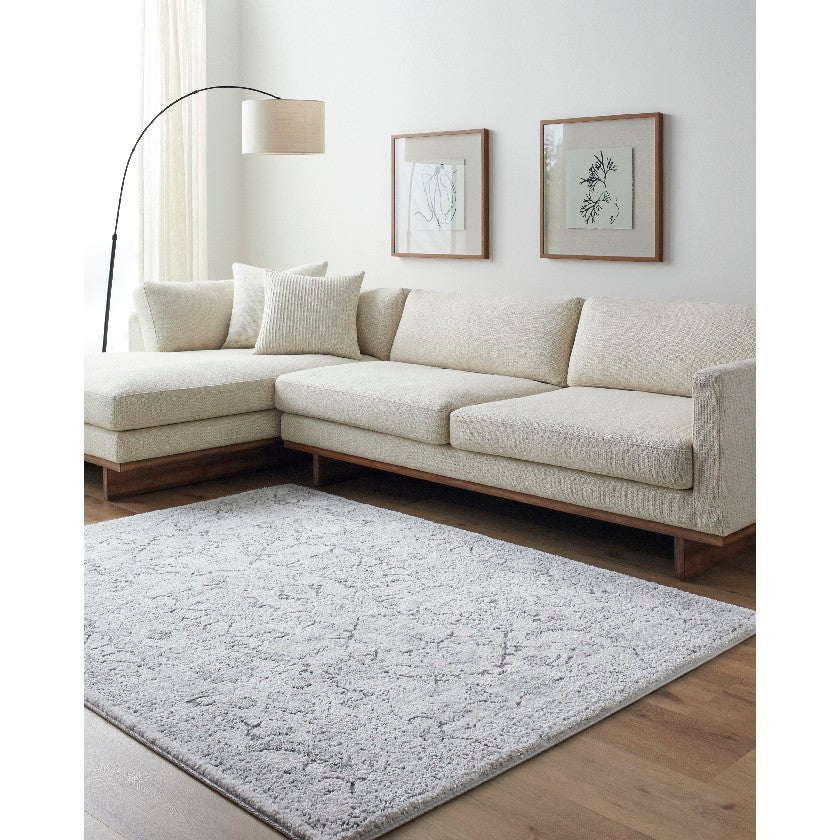 Taeisha Traditional Gray Area Rug