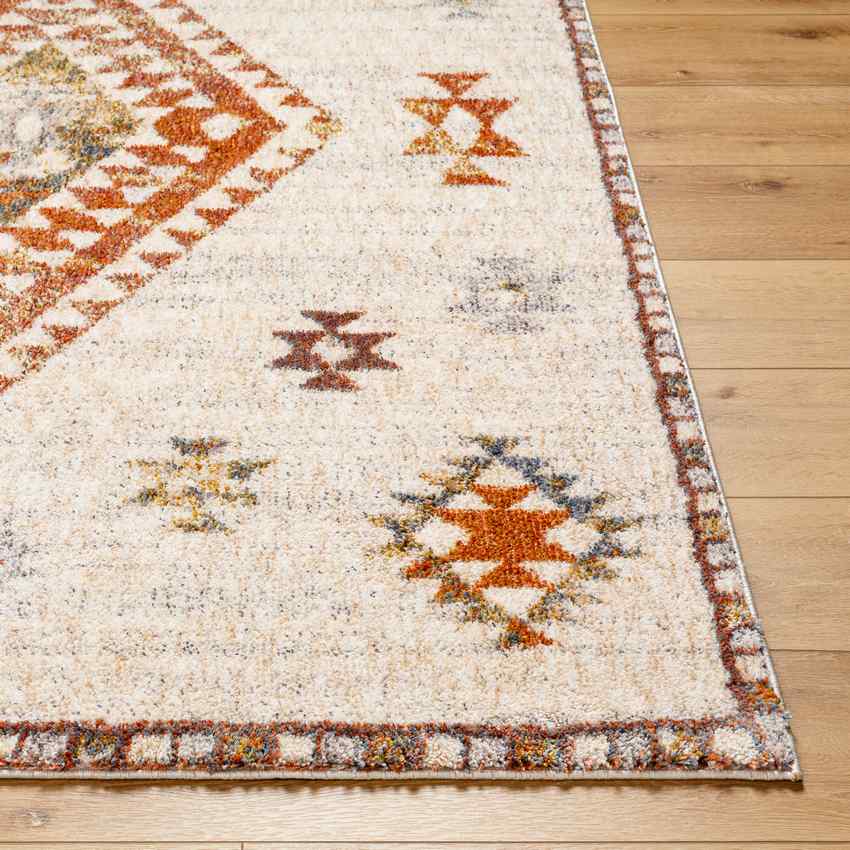 Keva Traditional Burnt Orange Area Rug