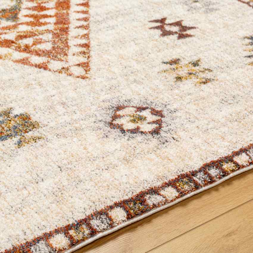 Keva Traditional Burnt Orange Area Rug