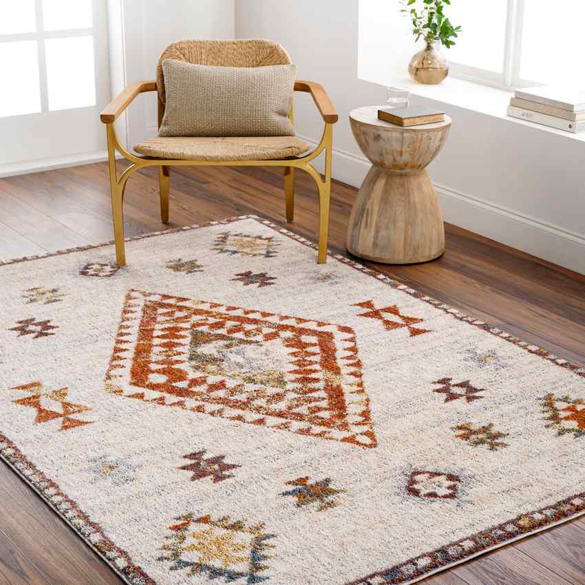 Keva Traditional Burnt Orange Area Rug