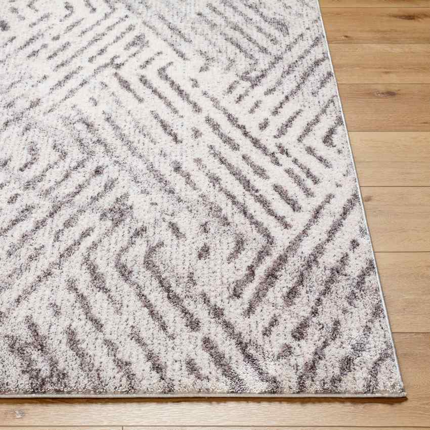 Prince Traditional Medium Gray/Light Beige Area Rug