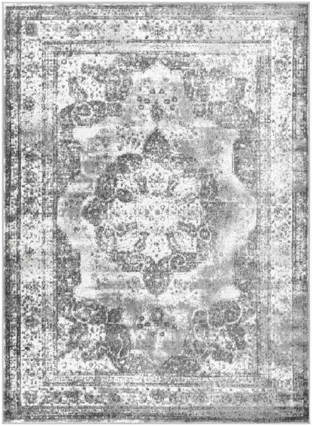 Hubert Traditional Medium Gray Area Rug