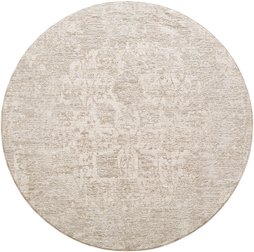 Javaughn Traditional Light Gray Area Rug