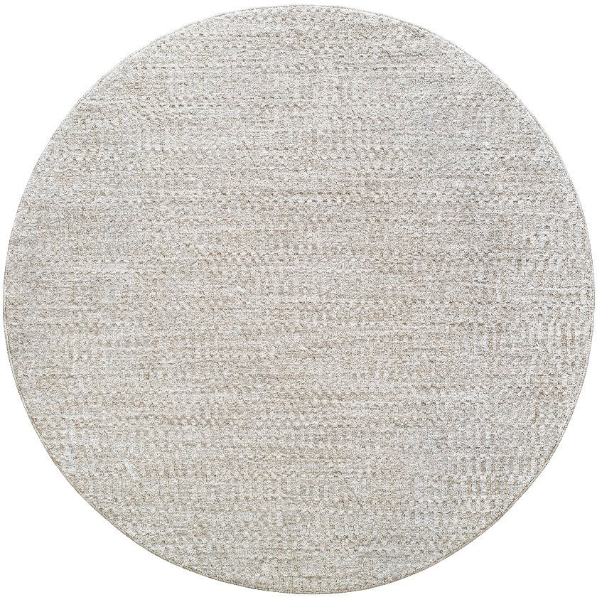 Jacara Traditional Medium Gray Area Rug