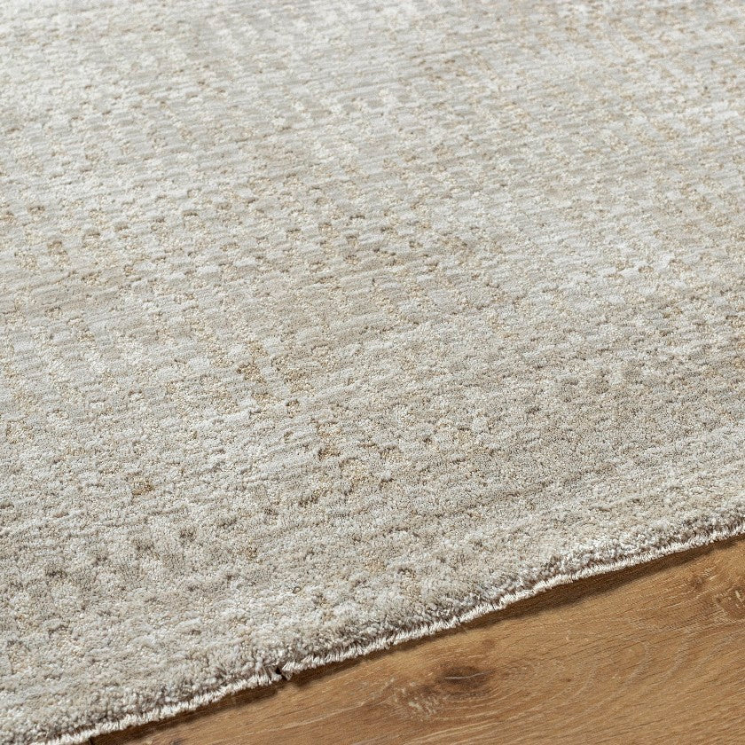 Jacara Traditional Medium Gray Area Rug