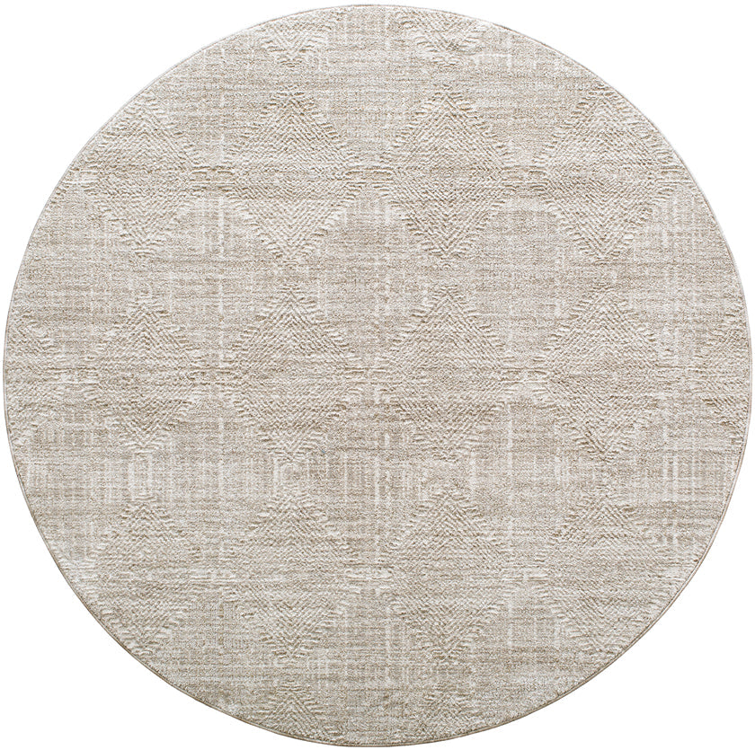 Anisah Traditional Brown/Light Gray Area Rug