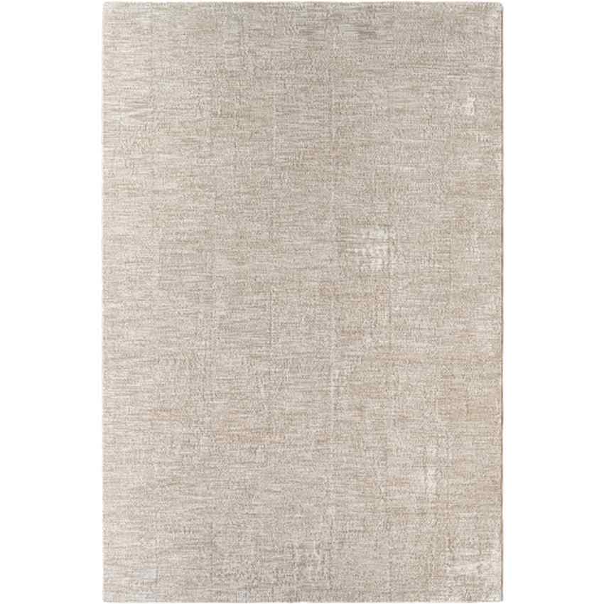 Sujey Traditional Light Gray Area Rug