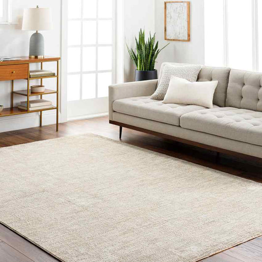 Sujey Traditional Light Gray Area Rug