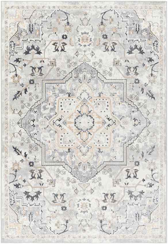 Dartagnan Traditional Light Gray Area Rug