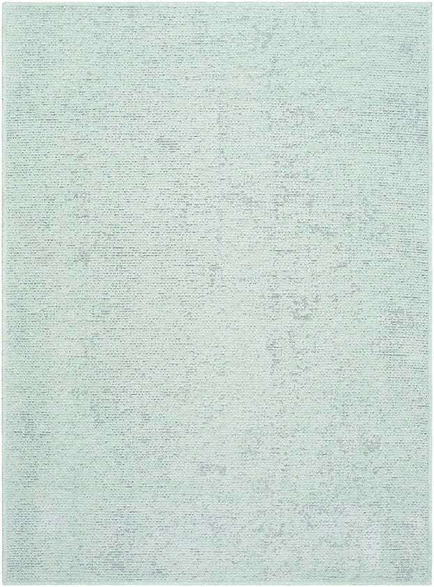 Tobey Solid and Border Seafoam Washable Area Rug